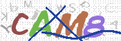 Immagine CAPTCHA
