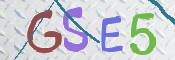 Immagine CAPTCHA