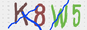 Immagine CAPTCHA