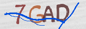 Immagine CAPTCHA