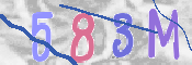 Immagine CAPTCHA