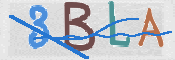 Immagine CAPTCHA