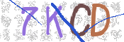 Immagine CAPTCHA
