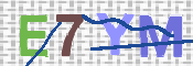 Immagine CAPTCHA