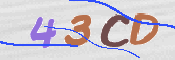 Immagine CAPTCHA