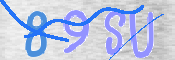 Immagine CAPTCHA