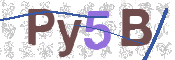 Immagine CAPTCHA