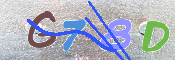 Immagine CAPTCHA