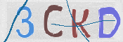 Immagine CAPTCHA