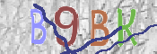 Immagine CAPTCHA