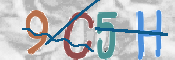 Immagine CAPTCHA