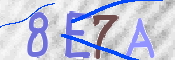 Immagine CAPTCHA