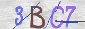 Immagine CAPTCHA