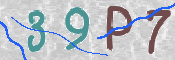 Immagine CAPTCHA