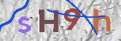 Immagine CAPTCHA