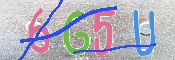 Immagine CAPTCHA