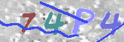 Immagine CAPTCHA