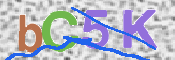 Immagine CAPTCHA