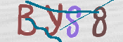 Immagine CAPTCHA