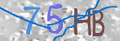 Immagine CAPTCHA