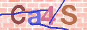 Immagine CAPTCHA