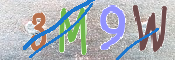 Immagine CAPTCHA