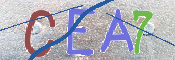 Immagine CAPTCHA