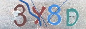 Immagine CAPTCHA