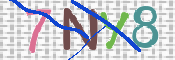 Immagine CAPTCHA