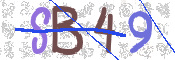 Immagine CAPTCHA