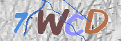 Immagine CAPTCHA