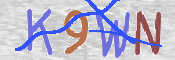 Immagine CAPTCHA