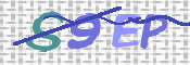 Immagine CAPTCHA