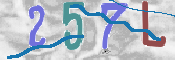 Immagine CAPTCHA