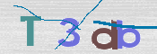 Immagine CAPTCHA
