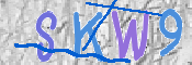 Immagine CAPTCHA