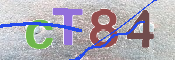 Immagine CAPTCHA