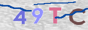 Immagine CAPTCHA