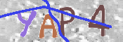Immagine CAPTCHA