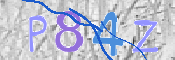 Immagine CAPTCHA