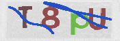 Immagine CAPTCHA