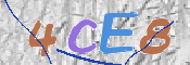 Immagine CAPTCHA