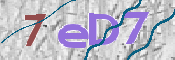 Immagine CAPTCHA