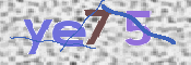 Immagine CAPTCHA